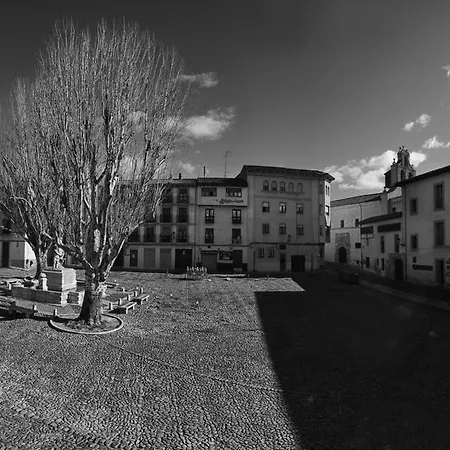 La Del Grifo فندق *